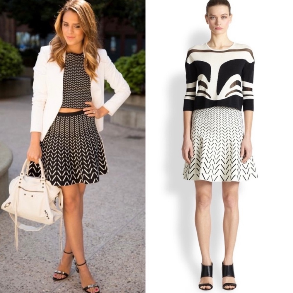 Ohne Titel Reversible Chevron Knit Mini Skirt